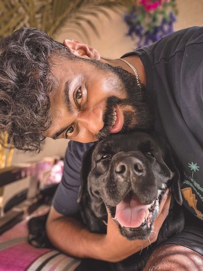 Labrador Retriever Dogs For Mating In Pune
