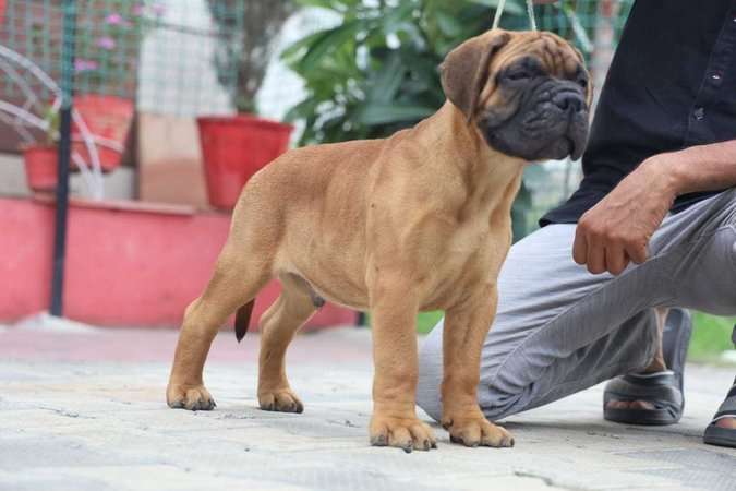 Mr n Mrs Pet