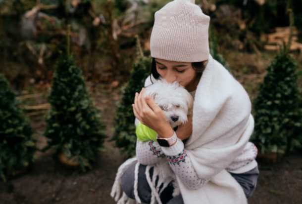 Winter Care Tips for Dogs: Keep Your Pet Warm, Healthy & Happy
