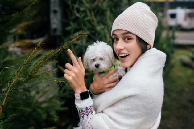 Winter Grooming Guide: How Often Should You Bathe Your Dog in Cold Weather?
