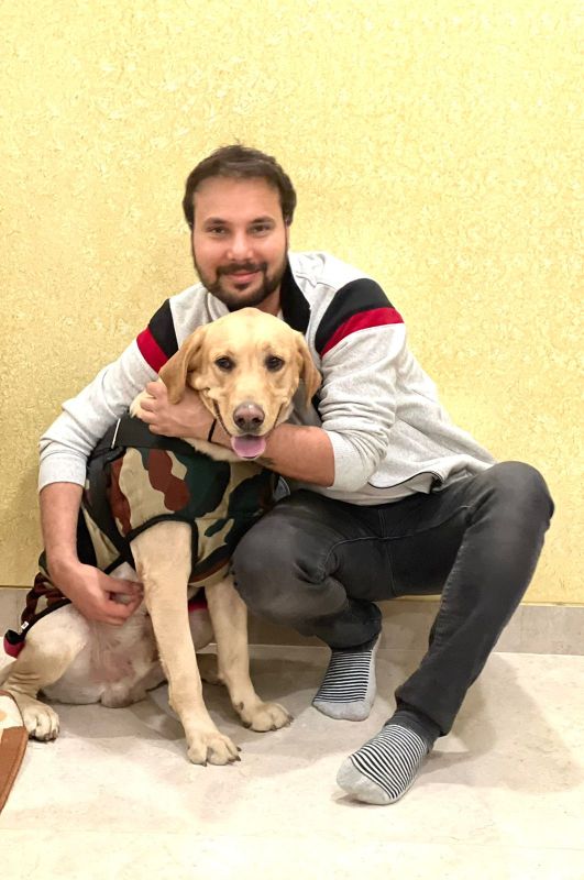 Labrador Retriever Dogs For Mating In Eluru