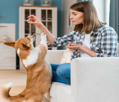 Can You Communicate Telepathically With Your Pet? It Sure Feels Like It