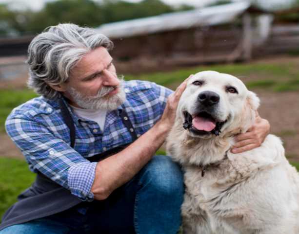How to Adopt an Army Dog in India: A Simple Guide