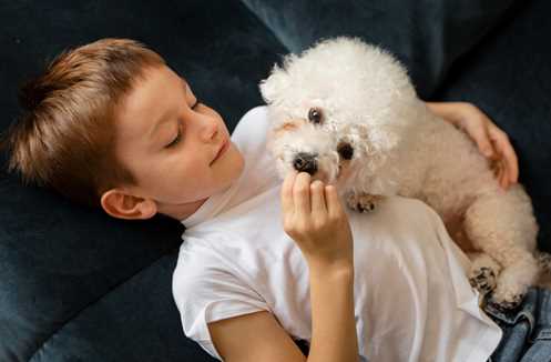 Top Five Friendly Dogs for Children in India