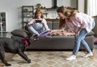 Things to Know Before Buying a Puppy: Checklist for Puppy Buying
