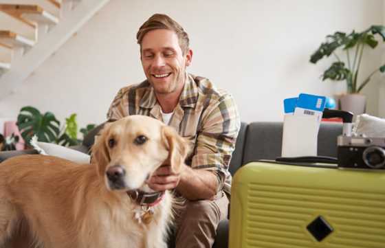 How to Relocate Pets Safely in India and Abroad | Domestic & International Pet Transport Guide