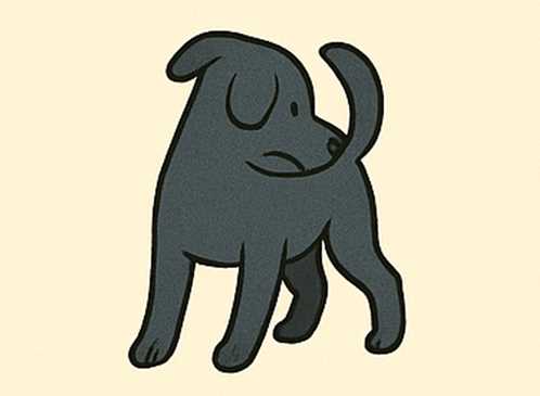 Stop! Your Dog Is Trying to Tell You Something Important Today