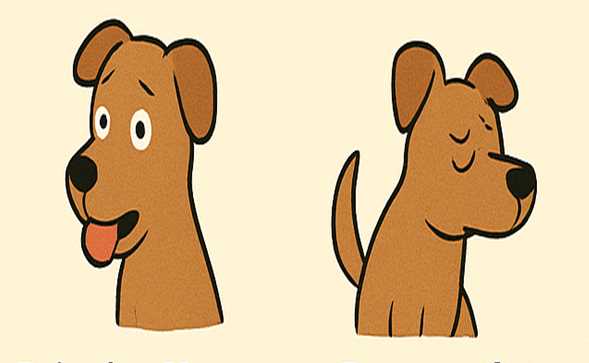Stop! Your Dog Is Trying to Tell You Something Important Today