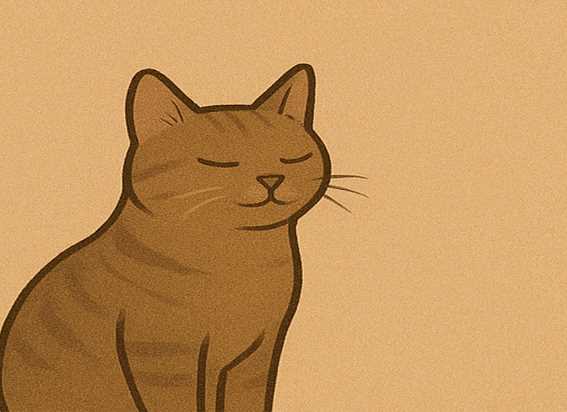 Your Cat Isn