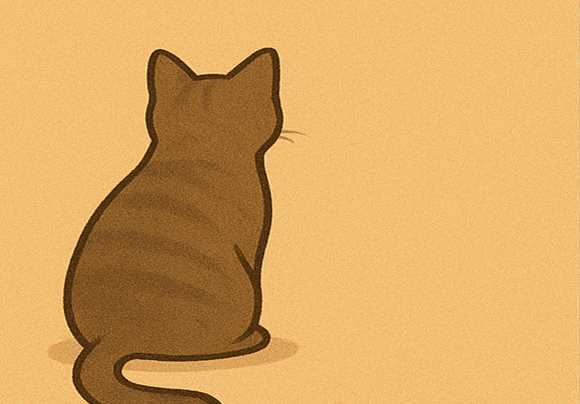 Your Cat Isn