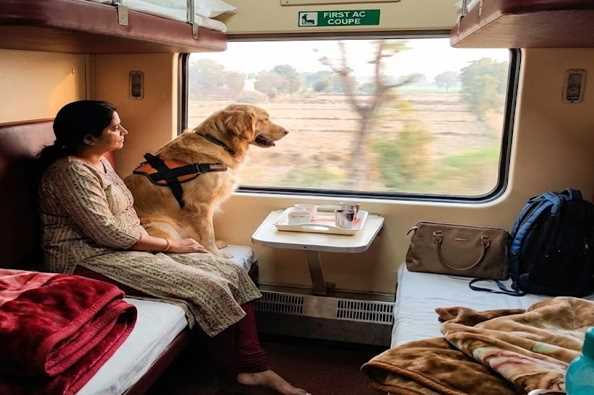How to Relocate Pets Through Rail Travel in India: A Pocket-Friendly Travel Option