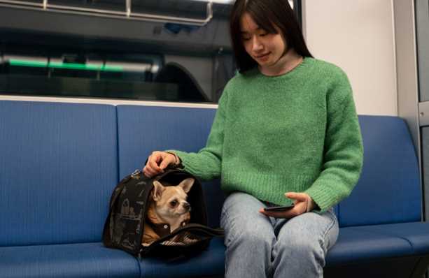 How to Relocate Pets Through Rail Travel in India: A Pocket-Friendly Travel Option