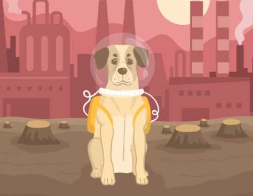 How to Safeguard Pets from Air Pollution: A Complete Pet Parent