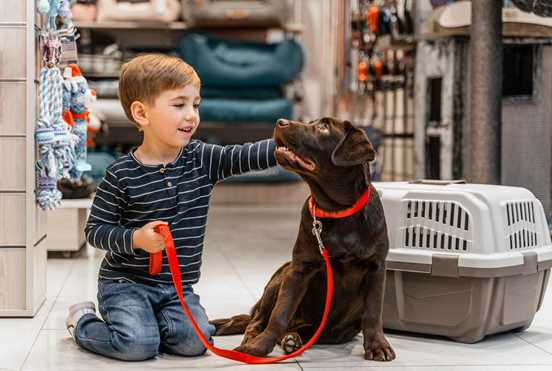 Moving to India with Your Dog or Cat? Here