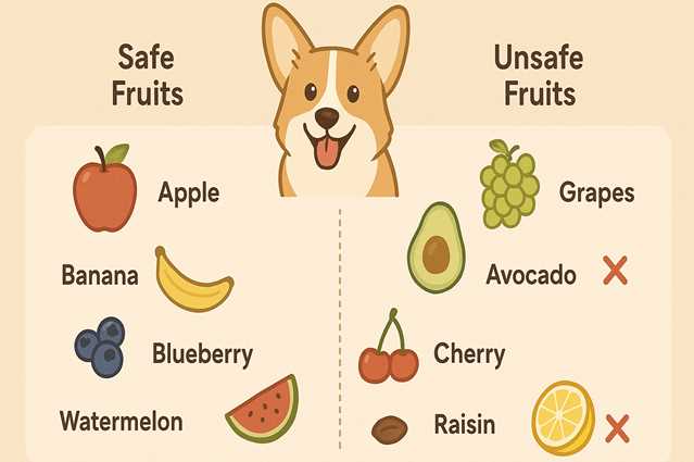 What fruits can dogs eat?