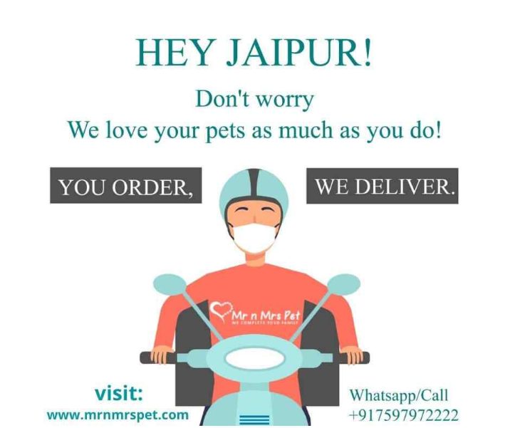 Pet food and essentials at your doorstep in Jaipur during lockdown | Whatsapp/Call us +91 7597972222