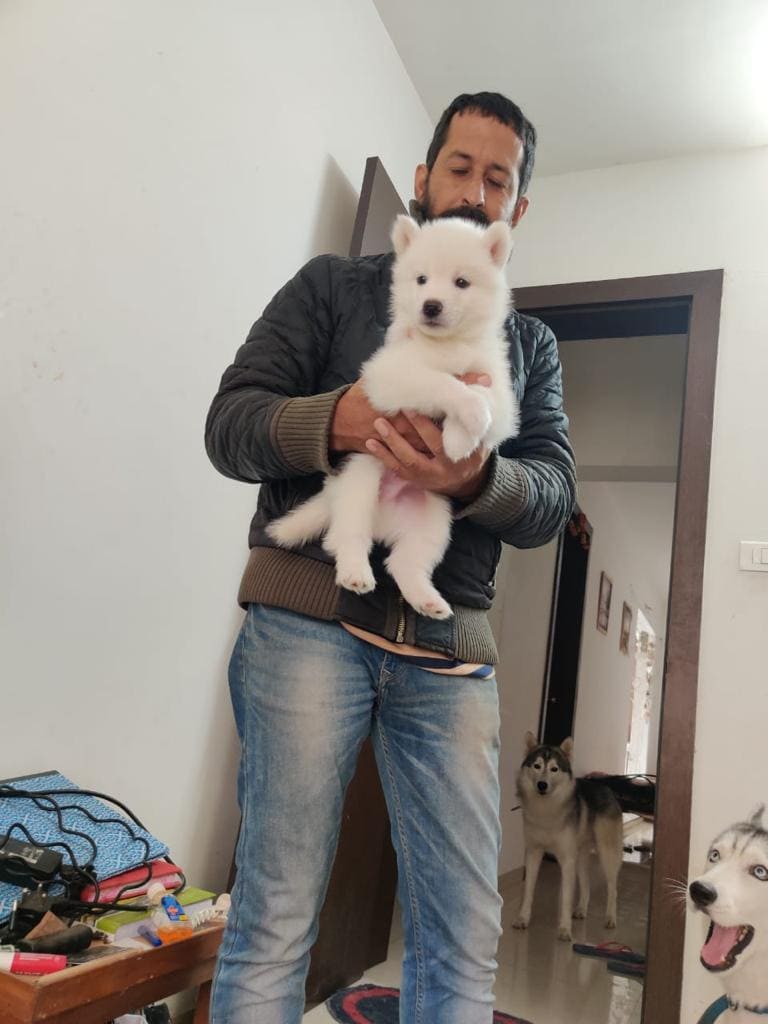 Mr n Mrs Pet