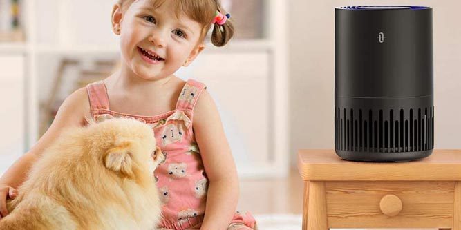 Want To Be A Pet-Parent, But Allergic To Animals? 8 Things You Can Do
