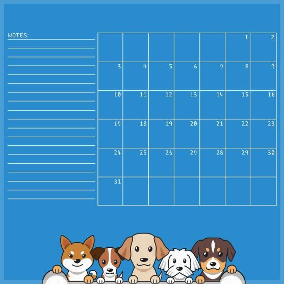 The To-Dos and How-Tos of DIY Dog Grooming: An Easy Guide 