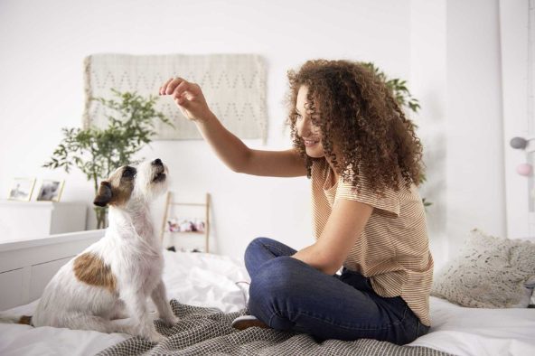 How my Pet Helped me to Reduce Stress