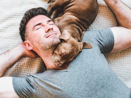 6 reasons for getting a Pitbull as a family dog