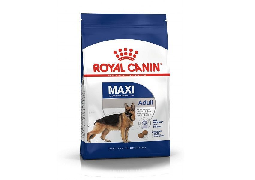 Five Best Large Breed Dog Food For Your Big Dog