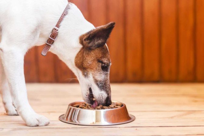 Pros & Cons of Buying Dog Food Online