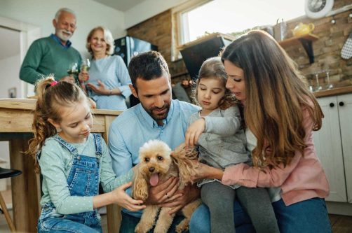 Is Getting A Pet Make My Kids More Responsible?