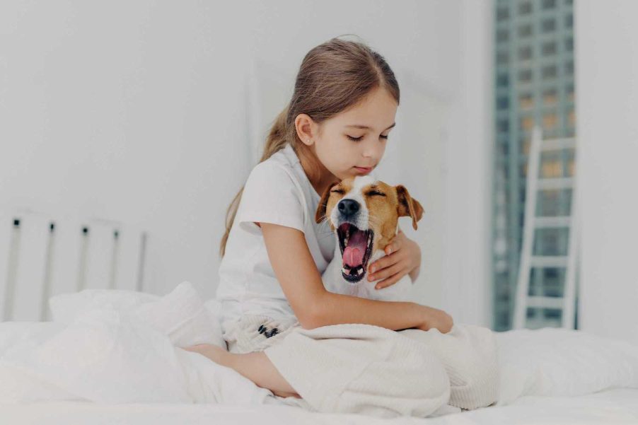 Is Getting A Pet Make My Kids More Responsible?