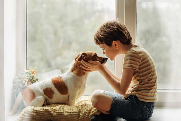 Is Getting A Pet Make My Kids More Responsible?