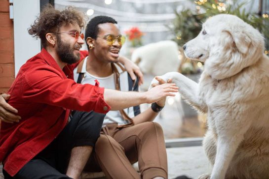 LGBTQ Adults Describe How Pets Have Changed Their Lives