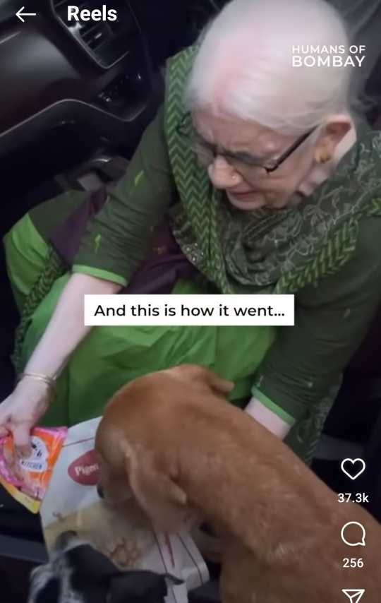 The Heart-warming Story of a 90-Year-Old waking up at dawn to Cook Food for Stray Dogs; From not liking dogs to such devotion, lets know her story 