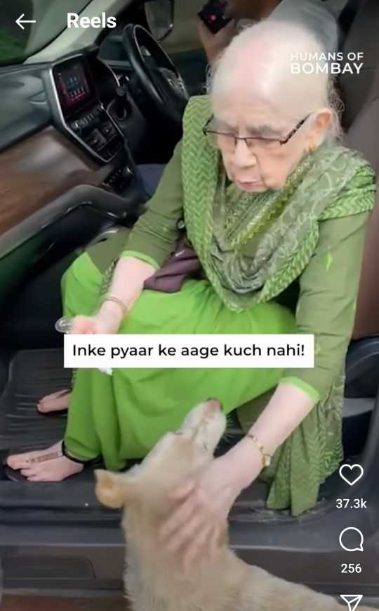 The Heart-warming Story of a 90-Year-Old waking up at dawn to Cook Food for Stray Dogs; From not liking dogs to such devotion, lets know her story 