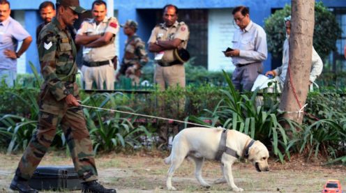 This Independence Day, We Salute the Unsung Canine Heroes of the Indian Army