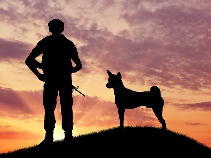 This Independence Day, We Salute the Unsung Canine Heroes of the Indian Army