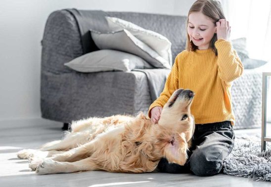 Ten types of Dog Body Language you should know as a Pet Parent