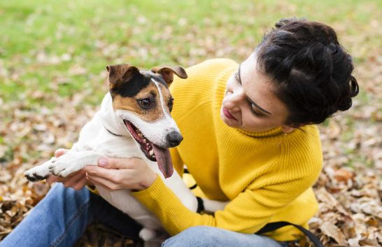 Ten types of Dog Body Language you should know as a Pet Parent