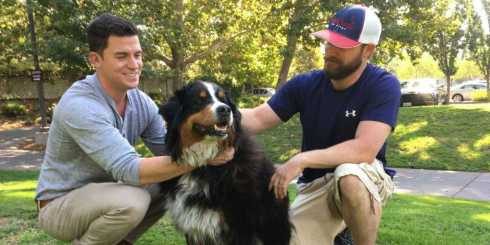 Izzy a Bernese Mountain Dog who waited for her evacuated Family to come to find her 