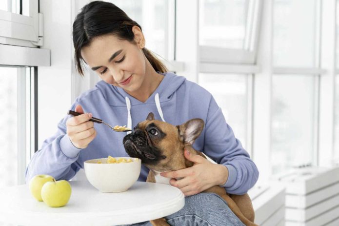 Is your dog a picky eater? Here are a few hacks for a better dog appetite! 