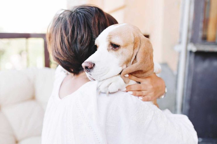10 practical ways to calm your dog’s anxiety