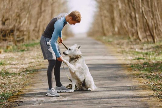 Most important commands a dog should know