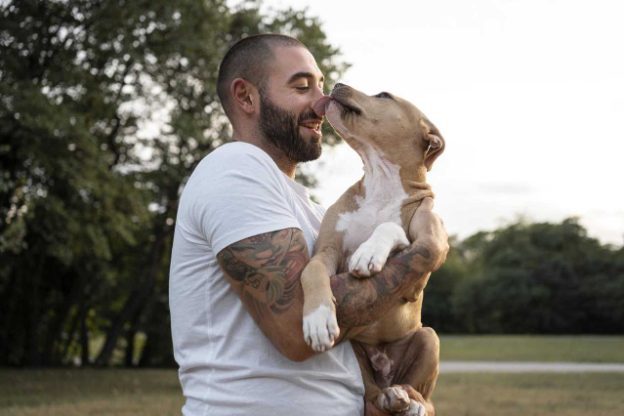 Ten ways to tell your dog you love them in their language
