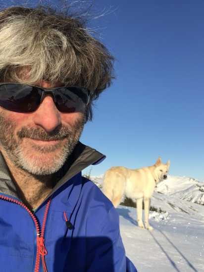 The Alaskan Husky Rescues People in the Snowy Wilderness of Alaska