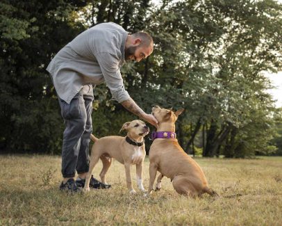 Partner with Mr n Mrs Pet: Join as a Dog Trainer