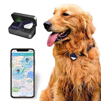 Do FI GPS trackers help find lost dogs?