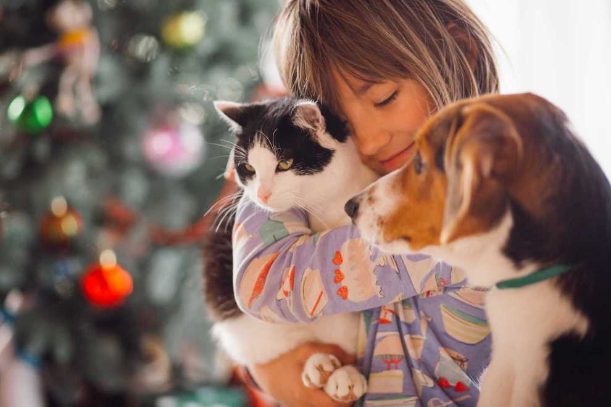 Are cats as intelligent as dogs?