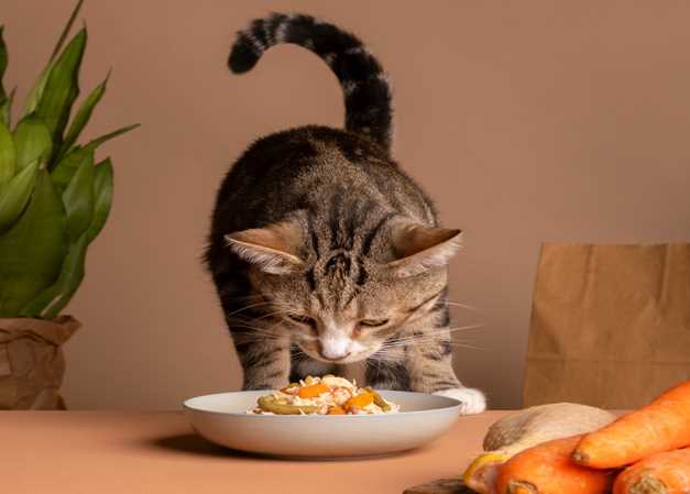 The Ultimate Safe & Unsafe Food Chart for Pets