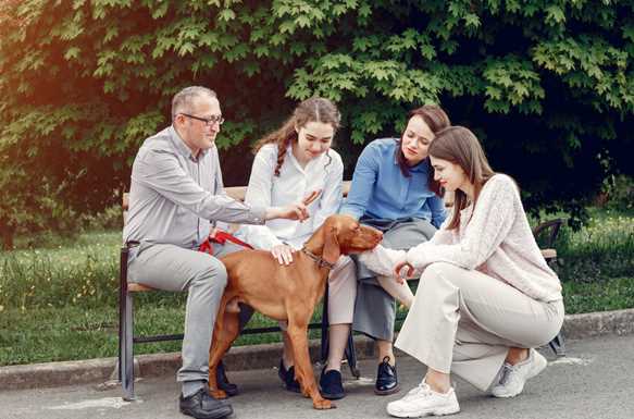 How Owning a Pet Can Benefit You