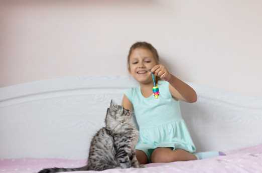 How Owning a Pet Can Benefit You
