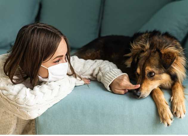 Top 10 Hypoallergenic Dog Breeds For Allergy Sufferers